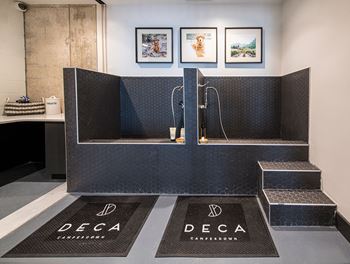 Pet spa1